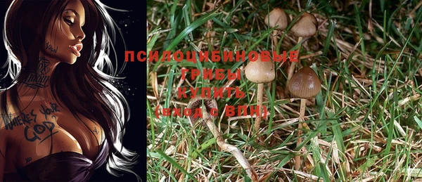 мет Аркадак
