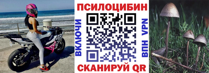 как найти   Нязепетровск  Псилоцибиновые грибы Cubensis 